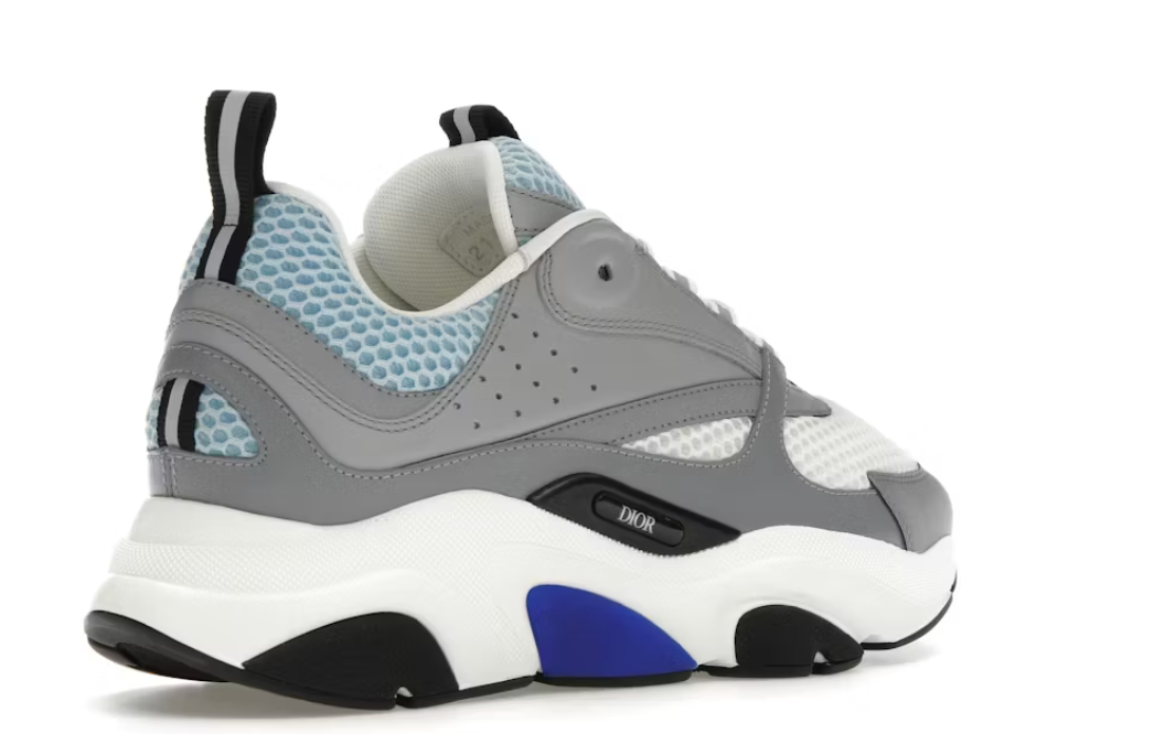 Dior b22 - grise et bleue